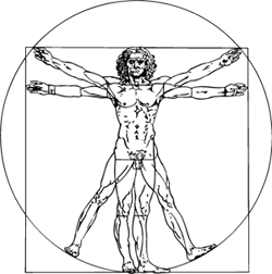 Vitruvian man
